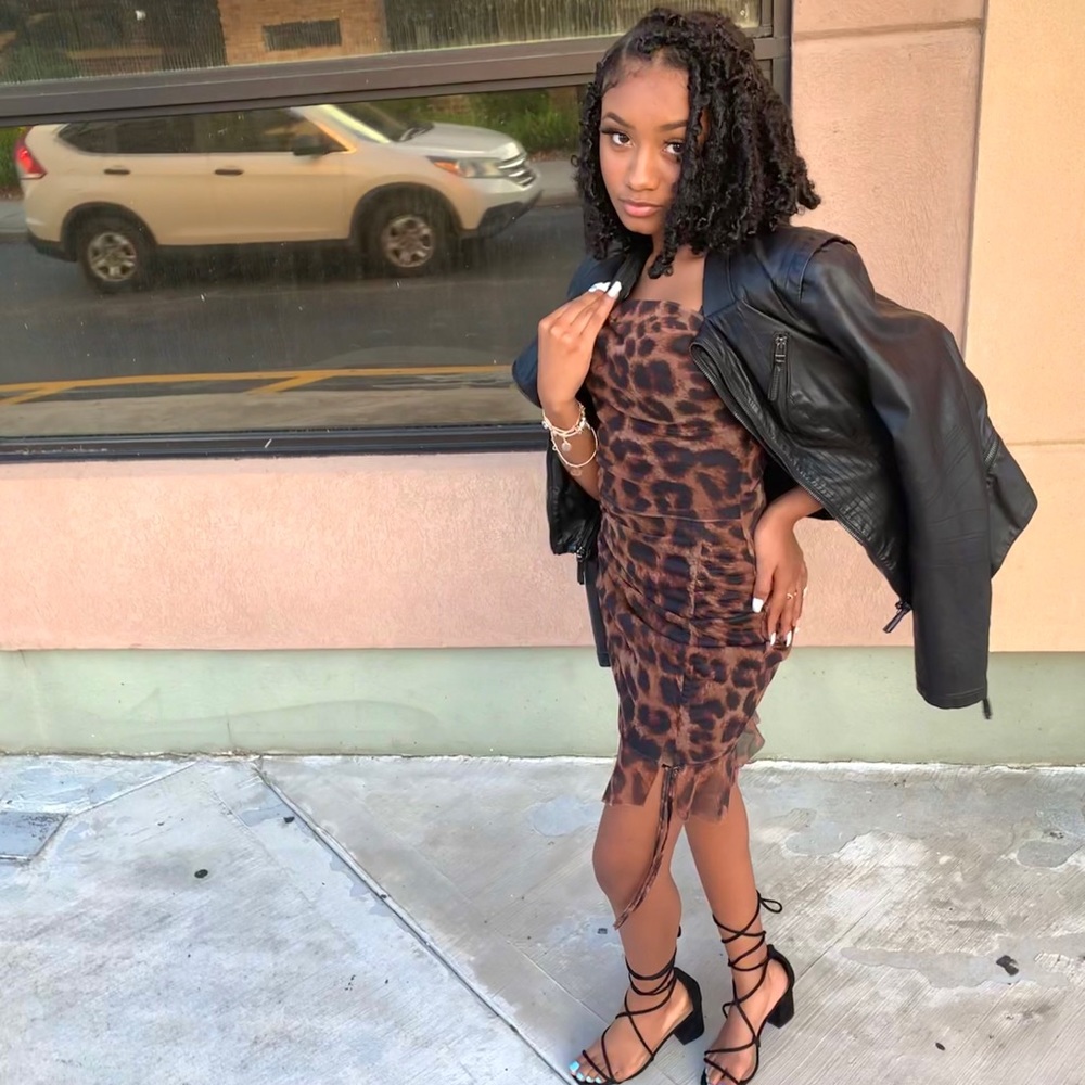 Mesh Leopard Print Ruched Dress